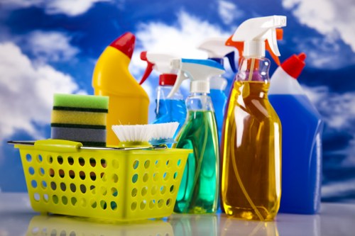 A Streatham cleaner working in a home interior