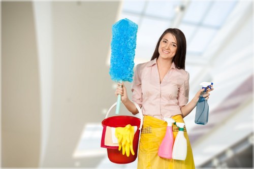 Professional cleaning tools used for Streatham homes