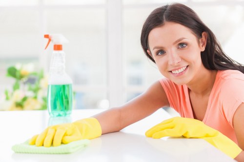 Professional window cleaning for Streatham homes and businesses