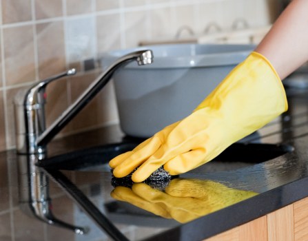 Professional pet stain and odour removal for Streatham carpets