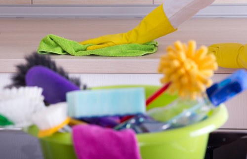 Deep cleaning trays and racks during oven cleaning in Streatham