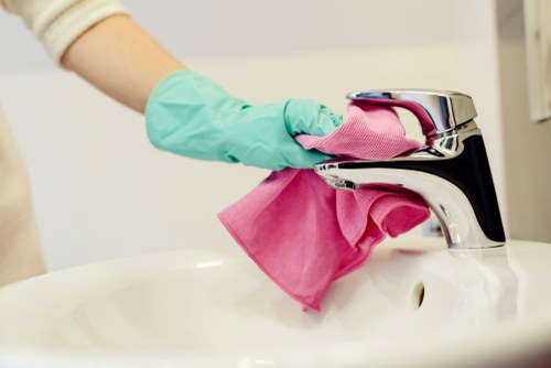 Deep cleaning process for pet stain removal in Streatham