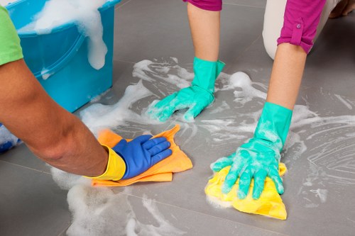 Steam carpet cleaning equipment being used in a Streatham living room