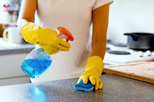 Free quote policy for Streatham Cleaner services