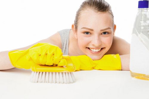 Cleaning appointment booking and confirmation process illustration