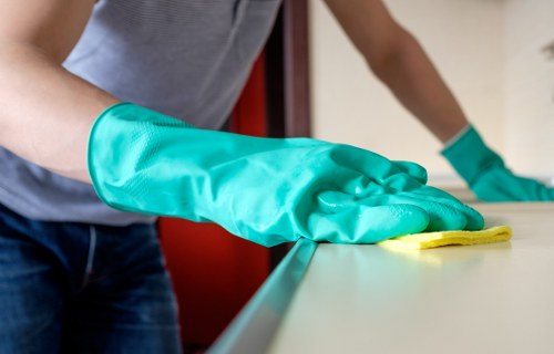 Local specialist treating pet urine odour in a Streatham home