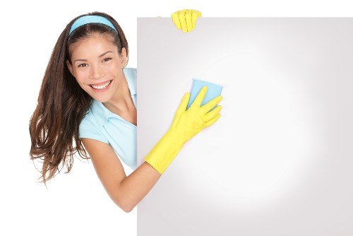 Upholstery odour treatment for pets in Streatham properties