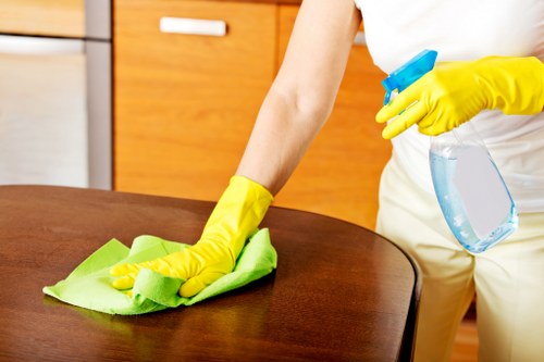Cleaner maintaining a kitchen during a Streatham regular cleaning visit